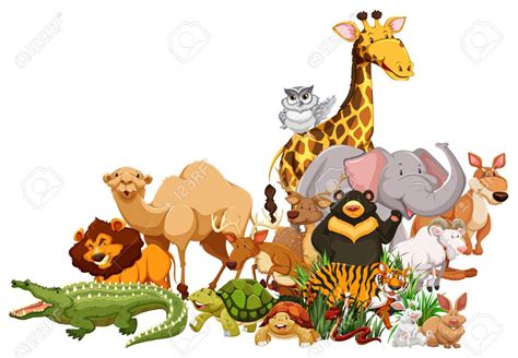 All kinds of Animal Clipart.